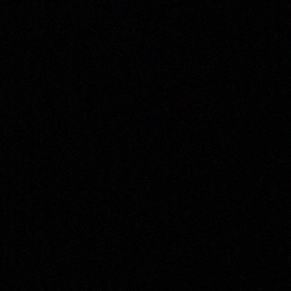 Meet your Posher, Cassidy - Picture 1 of 1